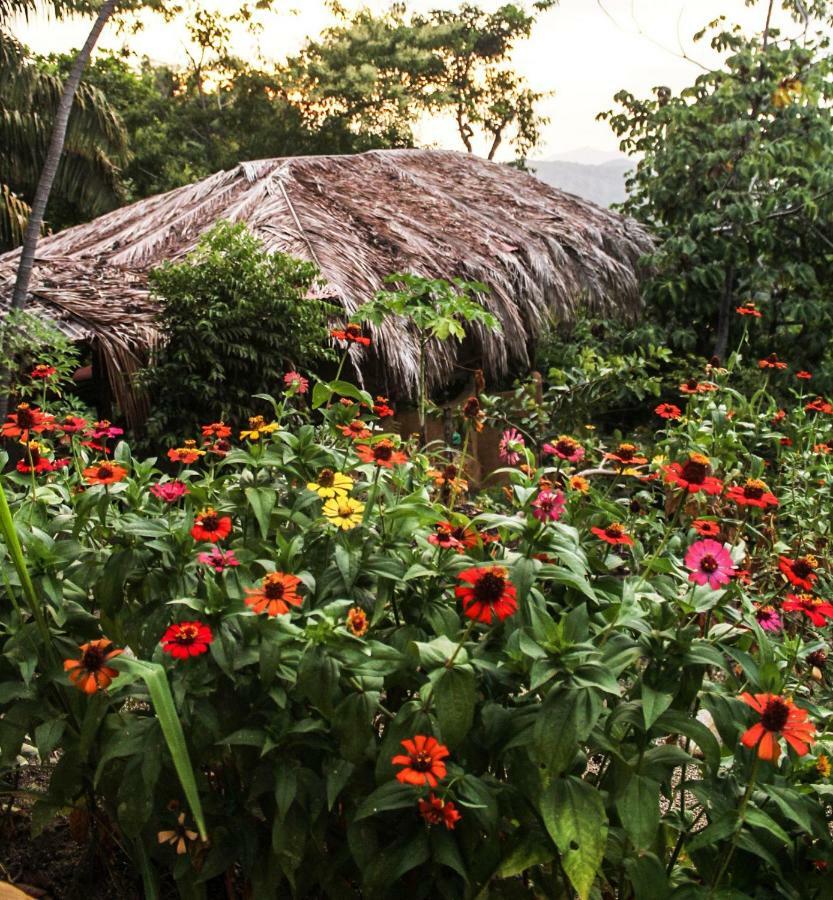 Sol De Minca Eco Lodge Buitenkant foto